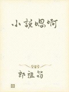 小说嗯啊