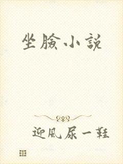 坐脸小说