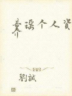 童瑶个人资料简介封面