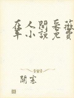 在人间采薇陆三平小说免费阅读封面
