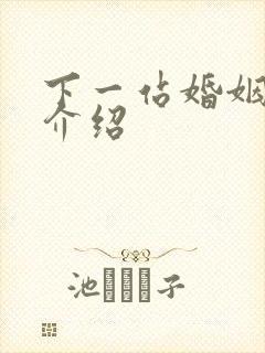 下一站婚姻剧情介绍