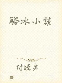 骆冰小说