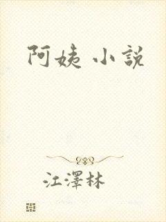 阿姨 小说封面