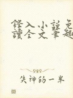 锋入小说免费阅读全文笔趣阁