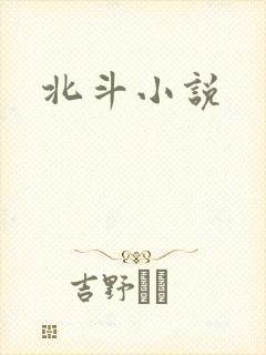 北斗小说封面