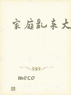 家庭乱来大杂烩