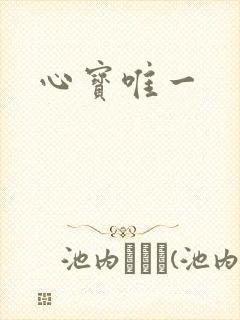 心宝唯一