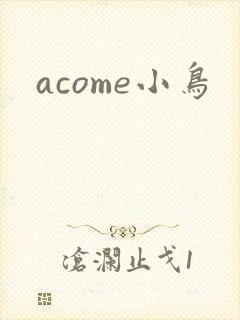 acome小鸟