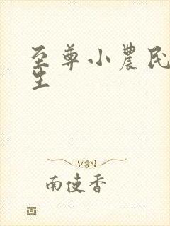 至尊小农民王木生