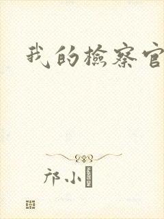 我的检察官先生