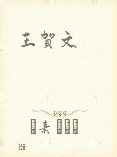 王贺文封面