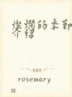灿烂的季节剧情介绍