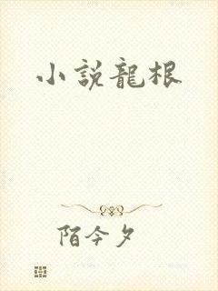 小说龙根封面