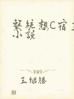 系统想C宿主的小说