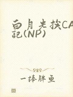 白月光挨CAO记(NP)