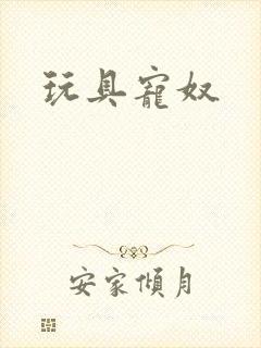 玩具宠奴封面