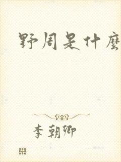 野周是什么意思