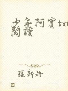 少年阿宾txt阅读