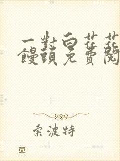 一对白花花的大馒头免费阅读