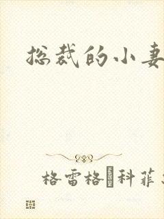 总裁的小妻子封面
