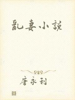 乱妻小说封面