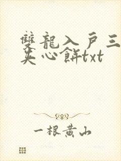 双龙入户三人行夹心饼txt