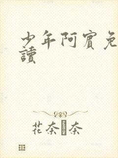 少年阿宾免费阅读