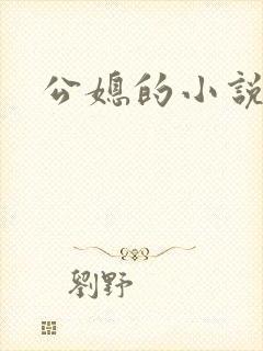 公媳的小说