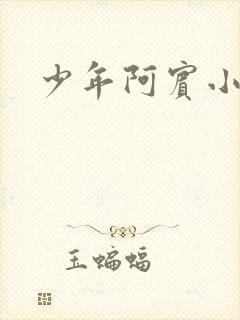 少年阿宾小说