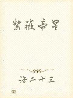 紫薇帝星封面