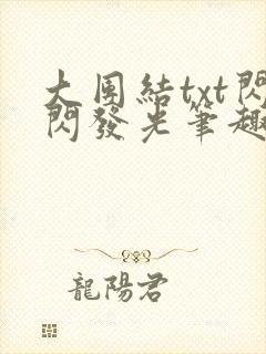 大团结txt闪闪发光笔趣阁