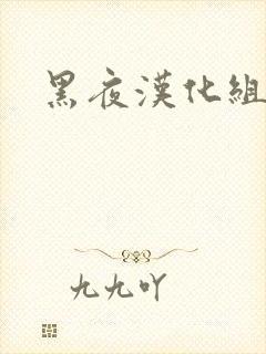 黑夜汉化组封面