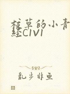 校草的小青梅不经C1V1