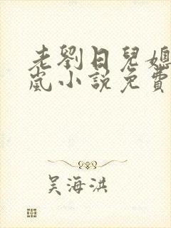 老刘日儿媳妇张岚小说免费阅读