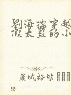 刘海瑞穿越后宫假太监的小说