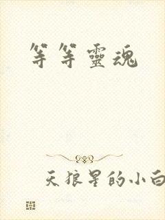 等等灵魂