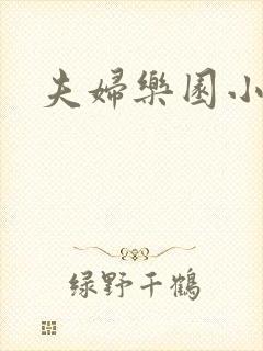 夫妇乐园小说封面