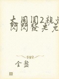 大团圆2亲情会闪闪发光免费