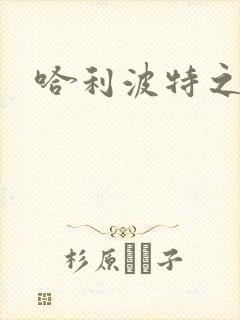 哈利波特之守护