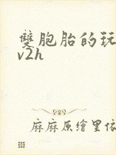 双胞胎的玩具1v2h
