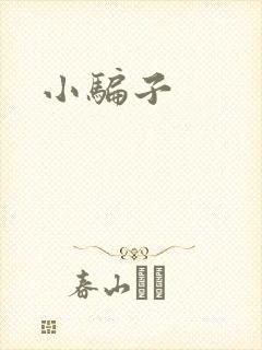 小骗子封面