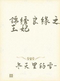 锦绣良缘之北地王妃