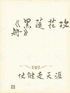 《黑莲花攻略手册》