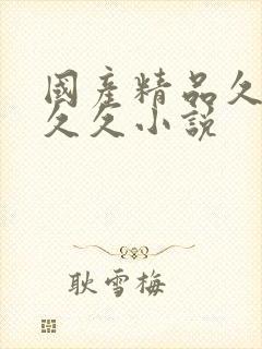 国产精品久久久久久小说封面