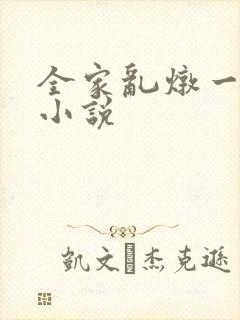 全家乱炖一锅烩小说封面