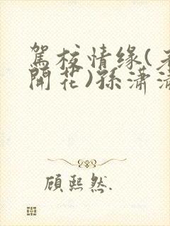 驾校情缘(老树开花)孙潇潇笔趣阁