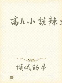 高h小说辣文