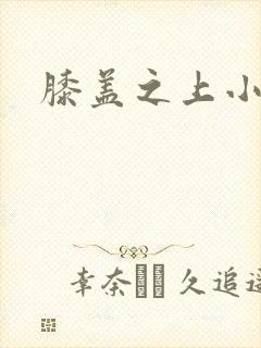 膝盖之上小说