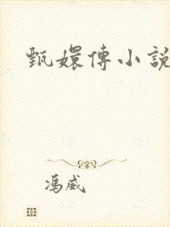 甄嬛传小说封面