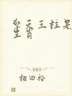 擎天玉柱是什么生肖